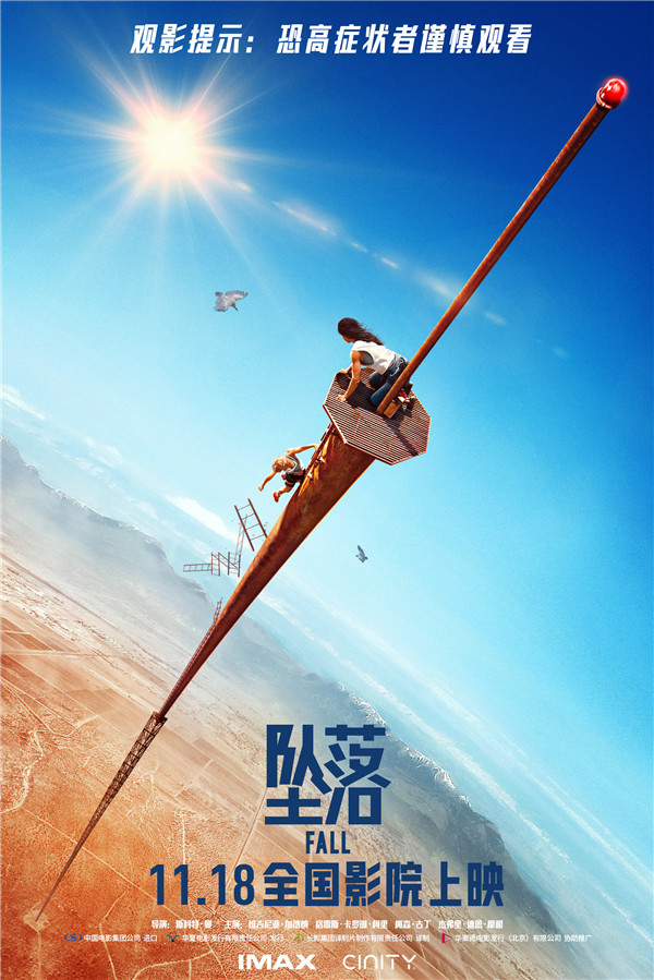 《坠落》定档海报.jpg